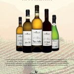 Grafica Editoriale Roma: Adv