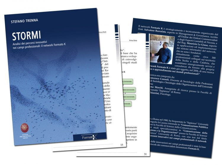 Stormi – Analisi dei percorsi innovativi nei campi professionali: il network Formato K