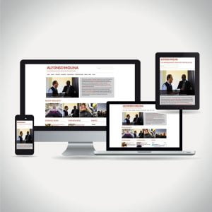 alfonso-molina-responsive