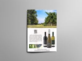 Azienda vitivinicola Borga