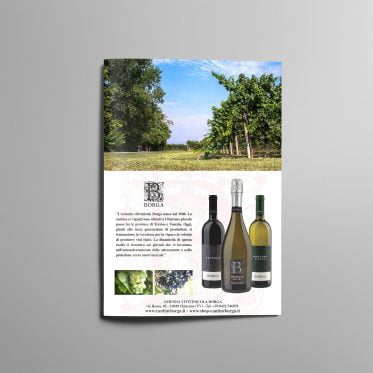 Azienda vitivinicola Borga