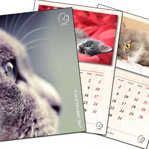 Associazione-Difesa-Animali-Natura-e-Ambiente-Onlus