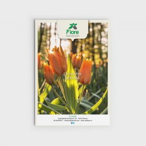 poste-associazione-fiore