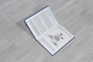 pubblicazione-intel-4