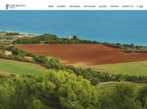 siti-web-professionali-roma-2