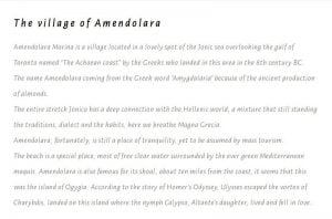 siti-web-professionali-roma-4