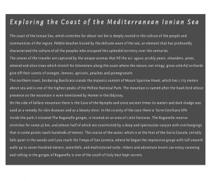 siti-web-professionali-roma-6