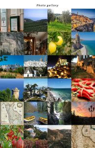 siti-web-professionali-roma5