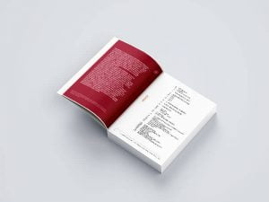 impginato-aziendale-professionale-relazione-gestione-pubblicazione (10)