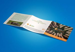 brochure-progetto-borchure-aziendale-brochure-professionale