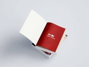 bilancio-sociale-mais-onlus-pubblicazione-imapginato-elegante-semplice-istituzionale