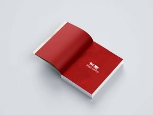 bilancio-sociale-mais-onlus-pubblicazione-imapginato-elegante-semplice-istituzionale