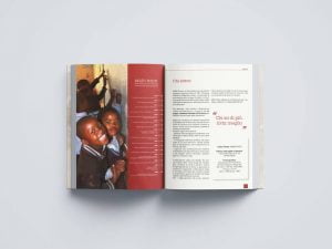 bilancio-sociale-mais-onlus-pubblicazione-imapginato-elegante-semplice-istituzionale