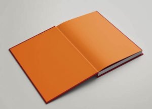 FMD bilancio sociale pubblicazione professionale aziendale istituzionale grafico roma