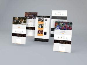 sito-web-professionale-associazione-volontariato-internazionale (1)