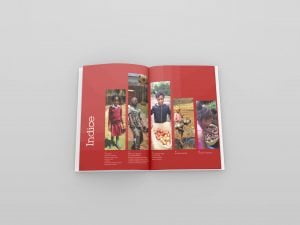 mais-onlus-bilancio-sociale-impaginato-libro-elegante-istituzionale