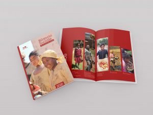 mais-onlus-bilancio-sociale-impaginato-libro-elegante-istituzionale