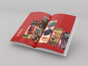 mais-onlus-bilancio-sociale-impaginato-libro-elegante-istituzionale