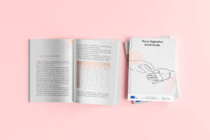 pubblicazione-piano-operativo-linee-guida-professionale-istituzionale