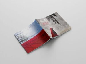 bilancio-csv-2023-impaginato-professionale-aziendale-istituzionale-pubblicazione-quadrata