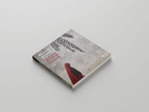 bilancio-csv-2023-impaginato-professionale-aziendale-istituzionale-pubblicazione-quadrata