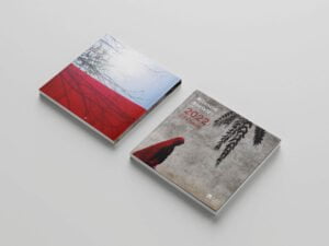 bilancio-csv-2023-impaginato-professionale-aziendale-istituzionale-pubblicazione-quadrata