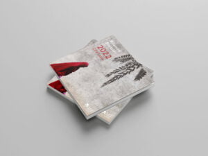 bilancio-csv-2023-impaginato-professionale-aziendale-istituzionale-pubblicazione-quadrata