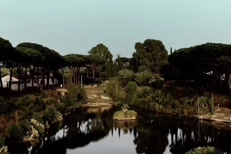 Tenuta Calissoni Bulgari – Un’armonia di natura e tradizione