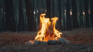 Scianò-gruppo-realizzazioni-video-aziendali-roma-latina-professionali