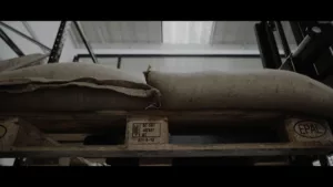 realizzazione-video-professionali-latina-roma-aziendali-aziende