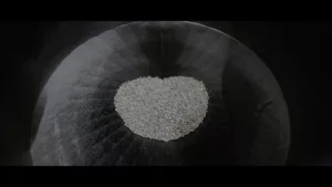 realizzazione-video-professionali-latina-roma-aziendali-aziende