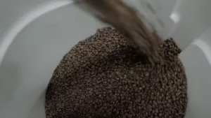 realizzazione-video-professionali-latina-roma-aziendali-aziende-7