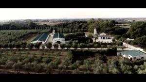 video-realizzazione-storytelling-aziendale-professionale-olio-biologico-prodotti-qualità