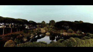 video-realizzazione-storytelling-aziendale-professionale-olio-biologico-prodotti-qualità