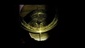 video-realizzazione-storytelling-aziendale-professionale-olio-biologico-prodotti-qualità